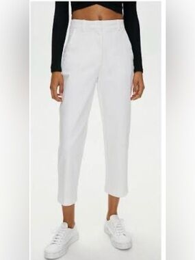 Aritzia The Group By Babaton Andro Pant